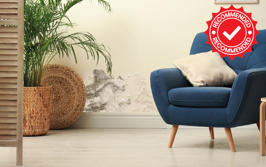 Rising Dampness Treatment