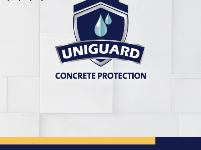 Logo Guideline